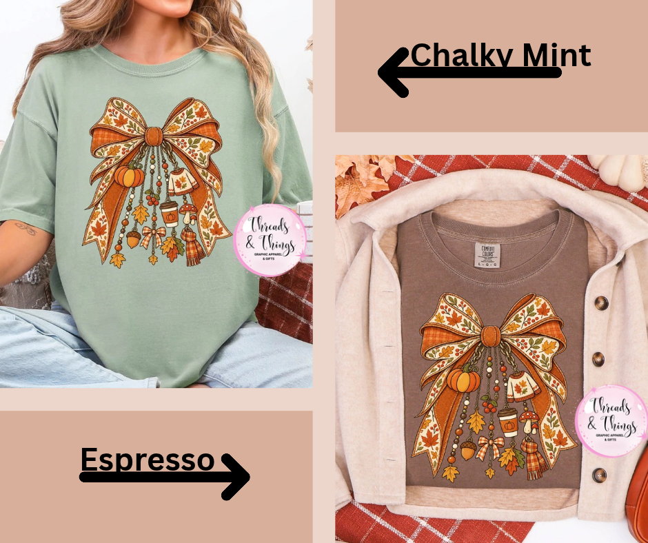 Fall Bow DTF Tshirt